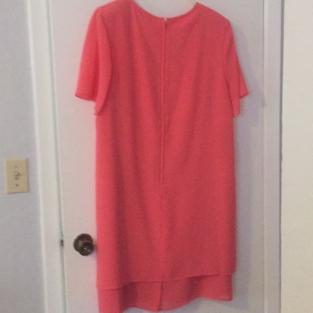 Dress - Picture 4 of 5